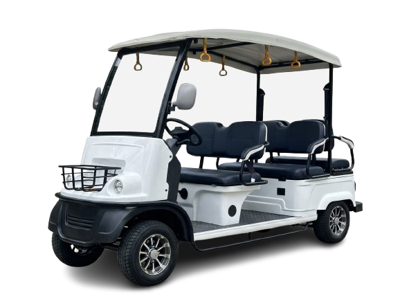 Shuttle Buggy